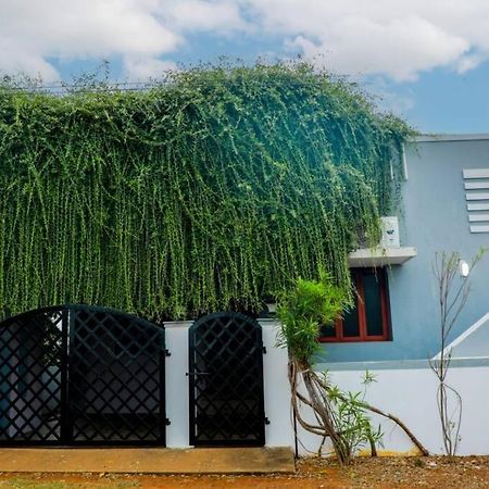 The Peaceful Place كارايكودي المظهر الخارجي الصورة