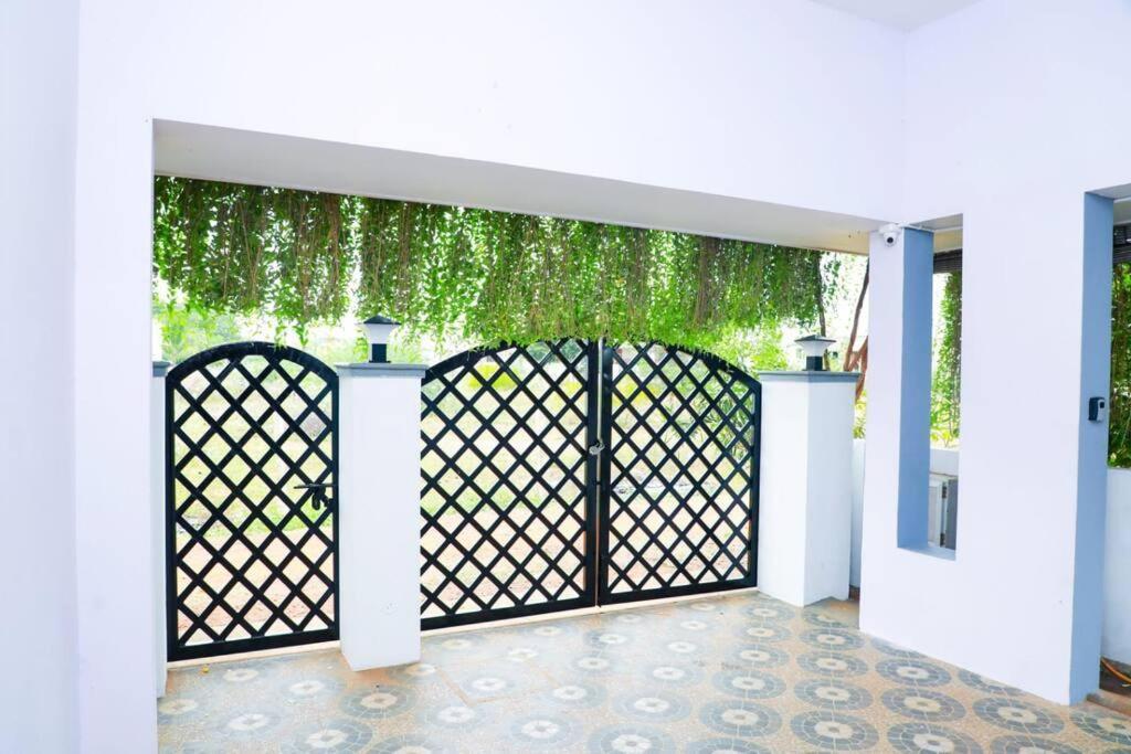 The Peaceful Place كارايكودي المظهر الخارجي الصورة