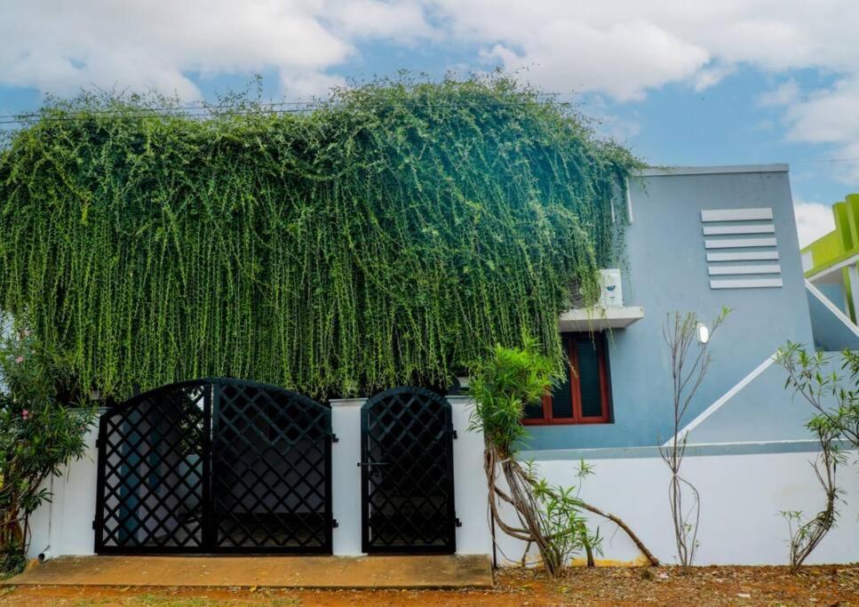 The Peaceful Place كارايكودي المظهر الخارجي الصورة